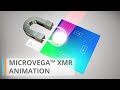 Microvega xmr  selective laser annealing