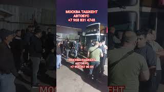 #Москва #Тошкент #Автобус #2023video #арзонбилет #мигранты #мусофир #шошилинч_хабарлар#тезкорянгилик