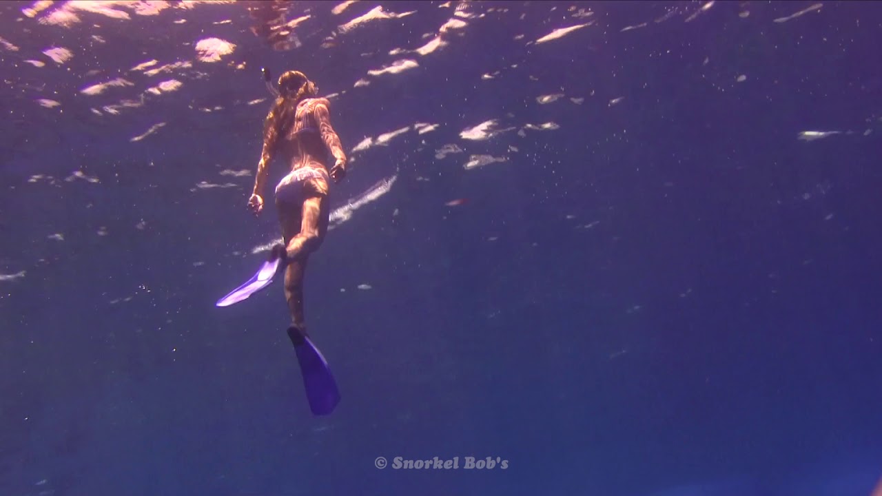 Moflex Fins by Snorkel Bob YouTube