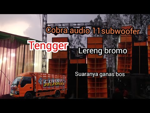 cobra audio live in Baledono Tosari Pasuruan