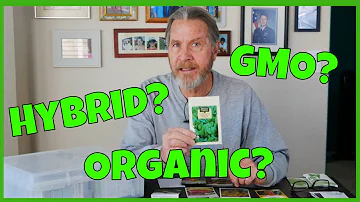 Jak poznáte, že jsou semena geneticky modifikovaná?