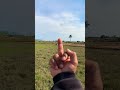 Bò Bị Chó Nạp Mk Nó Còn Xạo Ke Bò Bị Chó Nạp Mk Nó Còn Xạo Ke