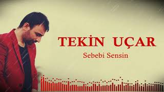 Tekin   Uçar  - Sebebi Sensin Resimi