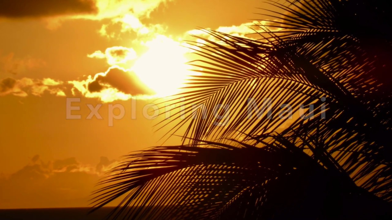Exploring Maui - YouTube