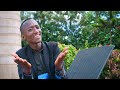 Stephen Leyian Enkaiofficial Video 