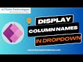 Display column names in power apps dropdown  power apps dropdown column names from collection