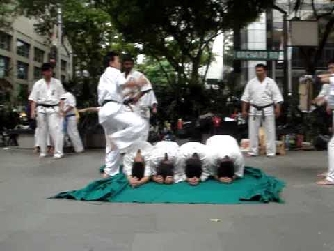 singapore budokan kyokushin karate demo (part 7)