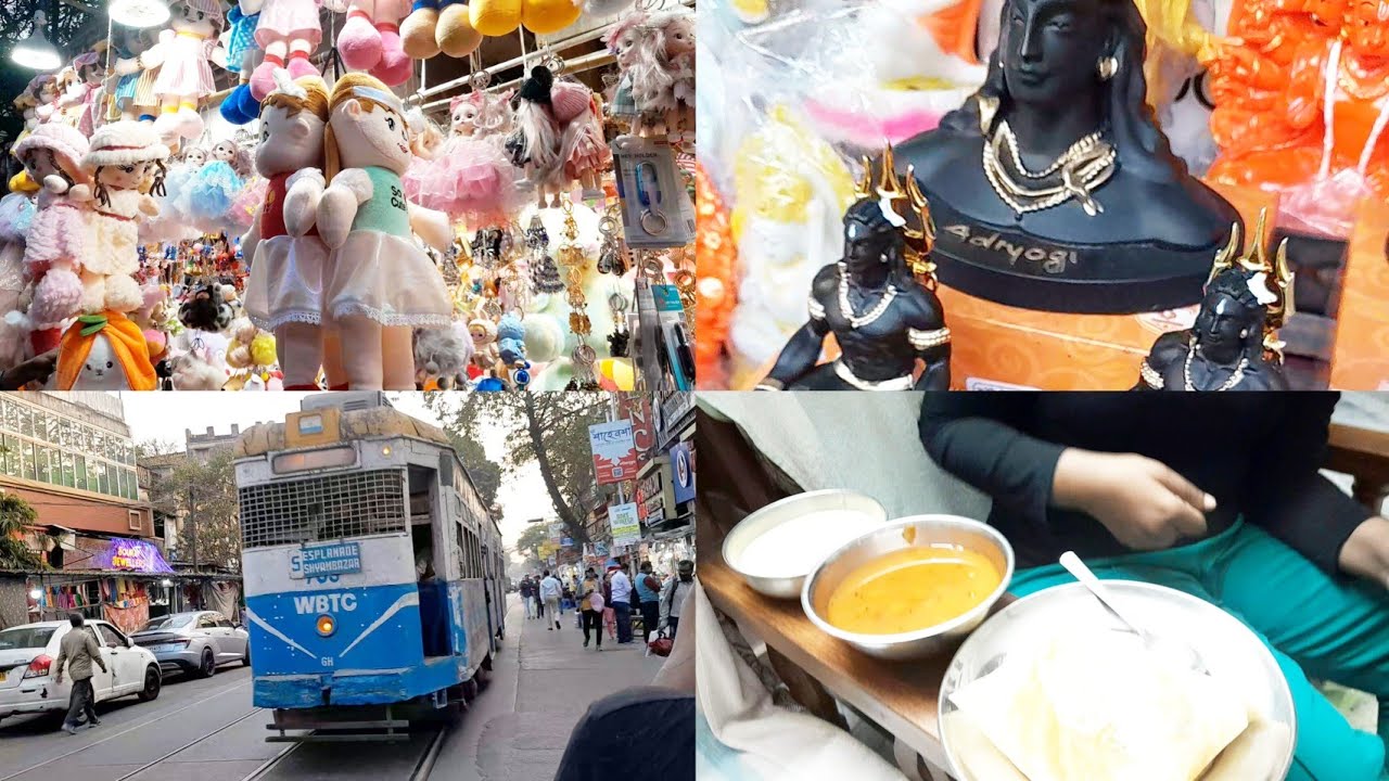 বিকেলে শ্যামবাজার থেকে হাতিবাগানের শেষ অবধি মা মেয়েমিলে হাটলাম। আর কিছু টুকিটাকি কিনলাম। 