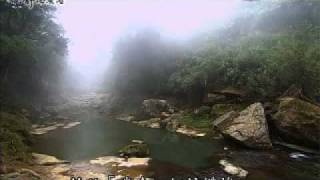 20100510-2《靜思晨語。慈濟宗門》貪瞋癡 禍之源