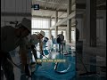 Ocean Floor Inside a Showroom  #epoxyfloor #epoxyart #luxuryinteriors #floortransformation