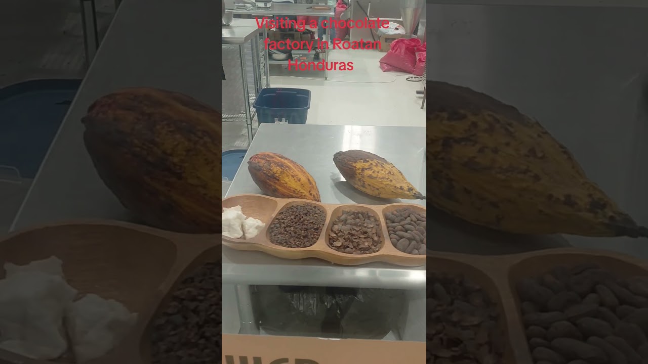 Chocolate Factory in Honduras
