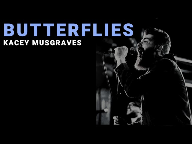 Butterflies - Kacey Musgraves | Cover by Josh Rabenold class=