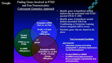 Neural Circuit and Genomic Approaches to PTSD and Fear-Related Disorders- Webinar with Dr. Kerry ...