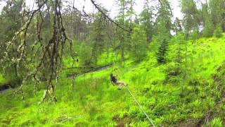 Zip lining Aviemore.mov