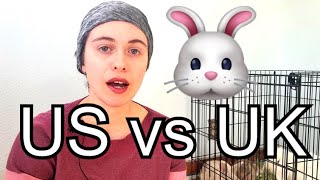 Bunny Bonding Methods Explained: Comparing US and UK approaches
