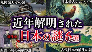 【ゆっくり解説】近年、解明された日本の謎６選