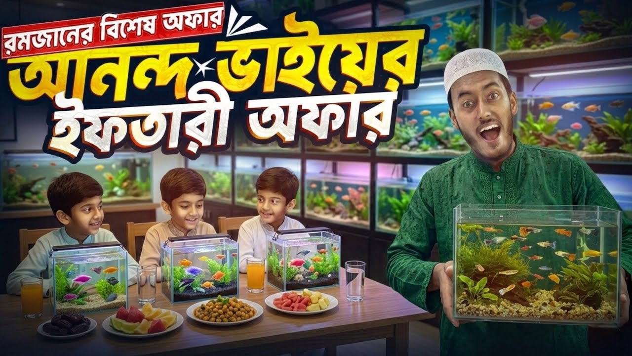 আনন্দ ভাইয়ের রঙ্গিন মাছের ইফতারী অফার | Aquarium fish price in Bangladesh | Anondo & pets 