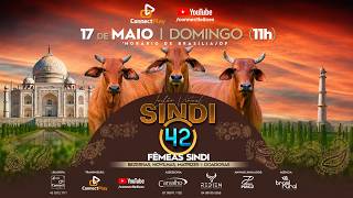 LOTE 15