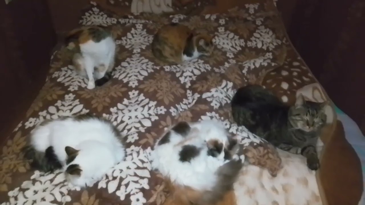 ЧТО ЖЕ МНЕ СНИМАТЬ!?🙀СНОВА ВСПОМНИЛОСЬ ДЕТСТВО!🥰