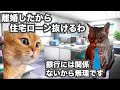 離婚しても住宅ローンからは逃げられなくて揉める話【地方銀行】#猫ミーム