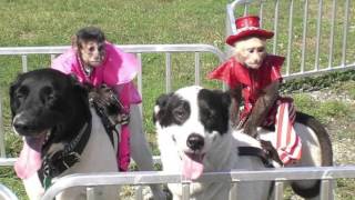 Banana Derby at Hernando County Fair