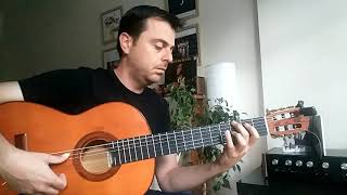 Flamenco Guitar / Ideas in E minor