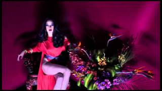 Amber Gray "Glamorama" video Profile