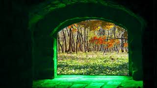 Sounds of Fall, Soothing Relaxing Music Alongside Leaves Falling | Sleep and Relaxation |