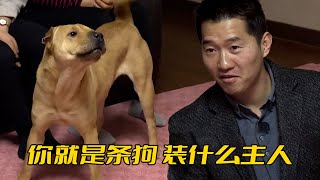 暴躁沙皮連咬主人3口看見陌生人就瘋狂吠叫訓犬師別拿狗當人養