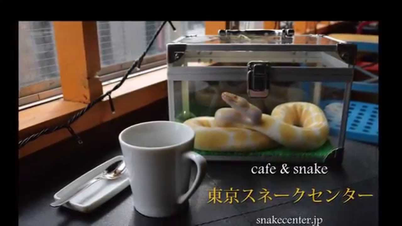 ヘビカフェ「東京スネークセンター」が気になる！