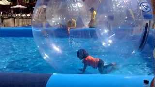 Joey inside a huge inflatable ball trying to run on the water