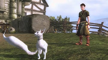 The Making of Sorcery: Story