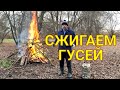 ЭТОТ РОЛИК - 100% ПОСТАНОВА И ХУДОЖЕСТВЕННЫЙ ВЫМЫСЕЛ АВТОРА! Сжигаем гусей//Подозревали птичий грипп