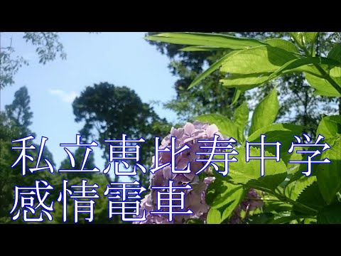 私立恵比寿中学「感情電車」ピアノソロ