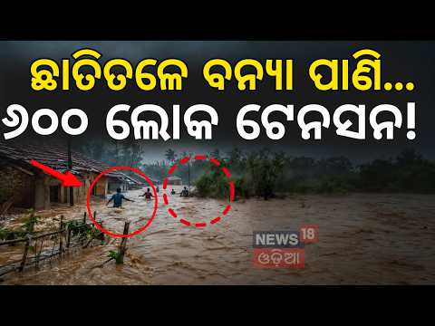 ଶେଷରେ ହେଲା କଣ?Odisha Flood Alert | Keonjhar Flood Emergency | Baitarani River Floods |Rain in Odisha