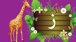 ز          زرافة      سمعها