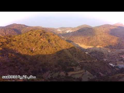 قلبي والع به 