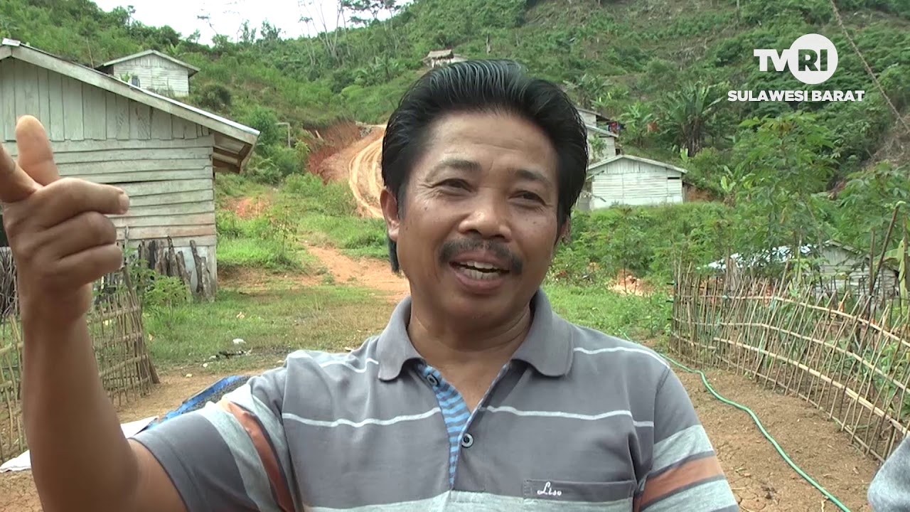Rintis Tanah Harapan (Transmigrasi Sulawesi Barat) | SPI | TVRI Sulbar, Juli 2019