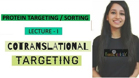 PROTEIN TARGETING/PROTEIN SORTING|COTRANSLATIONAL PROTEIN TARGETING|Lecture I|Endoplasmic Reticulum
