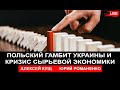 Польский гамбит Украины и кризис сырьевой экономики. Алексей Кущ, Юрий Романенко