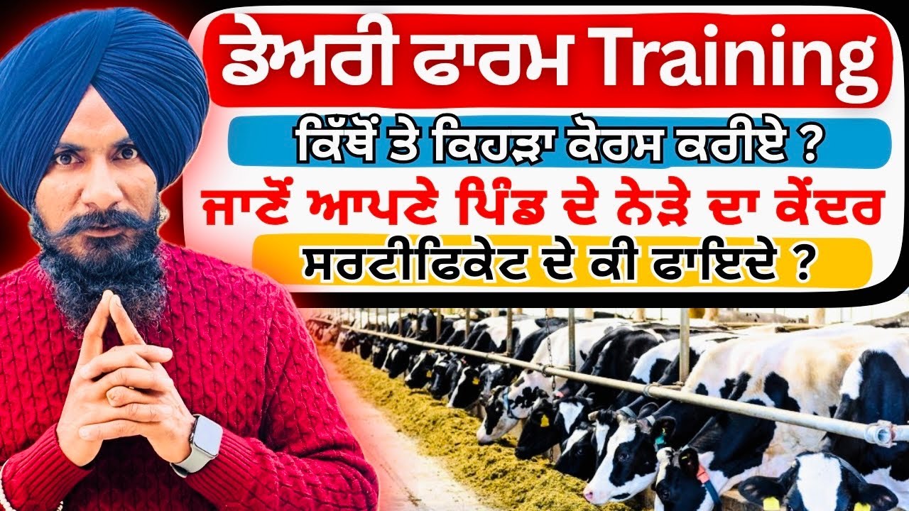 ਡੇਅਰੀ ਫਾਰਮ ਦੀ Training ਕਿੱਥੋਂ ਲਈਏ ? Dairy Farming Business |  ਜਾਣੋਂ ਆਪਣੇ ਪਿੰਡ ਦੇ ਨੇੜੇ ਦਾ ਸੈਂਟਰ | 