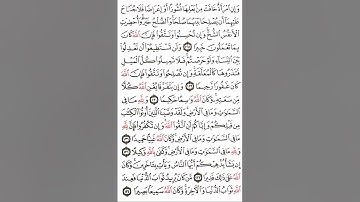 سورة النساء آية ١٢٨-١٣٤ #اكسبلور#القران #القاري attaullahfarooqi55 عطاء الله فاروقي من الدوحة قطر