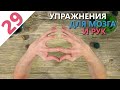 Упражнения для развития мозга и рук (Синхронизация полушарий мозга)