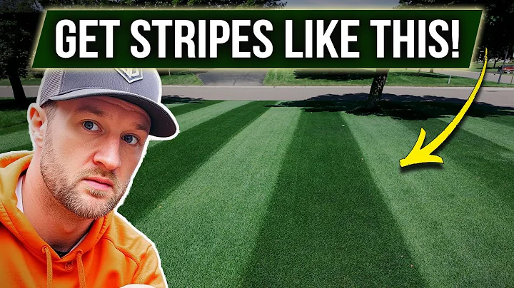 3 WAYS to STRIPE your Lawn! (From Cheap to Pro) + 5 Tips That Matter