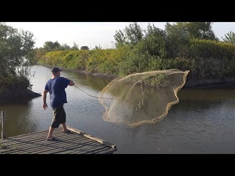 Video: Čips Za Pušenje Ribe: Na Kojoj Je Bolje Pušiti Skušu I Drugu Ribu Na Hladan I Vruć Način, Kako Pripremiti čips I Odabrati