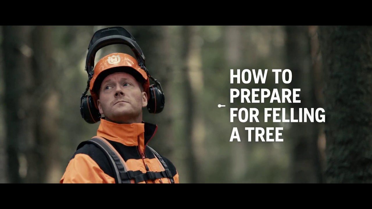 How to fell a tree – Husqvarna Chainsaw Academy - YouTube
