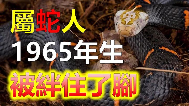 2024生肖運勢，十二生肖1965年屬蛇人，餘生被誰絆住了腳？生肖蛇你想一想，真的不知道用什麼詞語來形容，屬蛇人的命理，生肖蛇人風度翩翩善於辭令很會鑽營。屬蛇人不會炫耀自已才能，而是暗自砥礪（生肖蛇） - 天天要聞