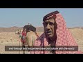 Bedouins of Wadi Araba - قبائل وادي عربة