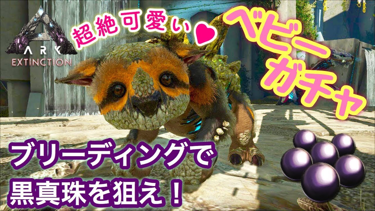 Ark Extinction ガチャ Gacha をブリーディングして黒真珠狙う Youtube