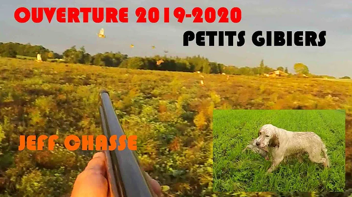 MAGNIFIQUE OUVERTURE !!!!!!! sur petits gibiers " perdrix-cailles" 2019 2020